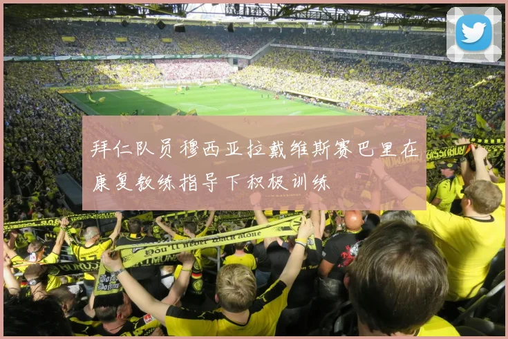 拜仁队员穆西亚拉戴维斯赛巴里在康复教练指导下积极训练