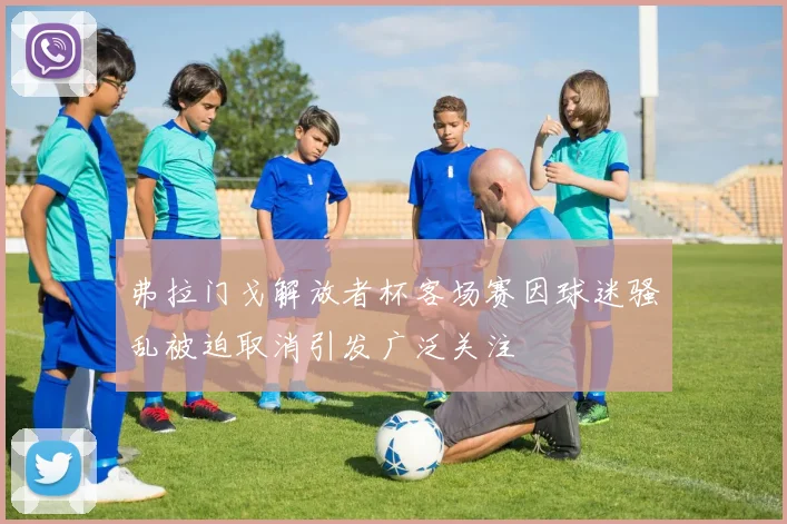 弗拉门戈解放者杯客场赛因球迷骚乱被迫取消引发广泛关注